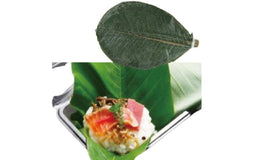 FVEG089